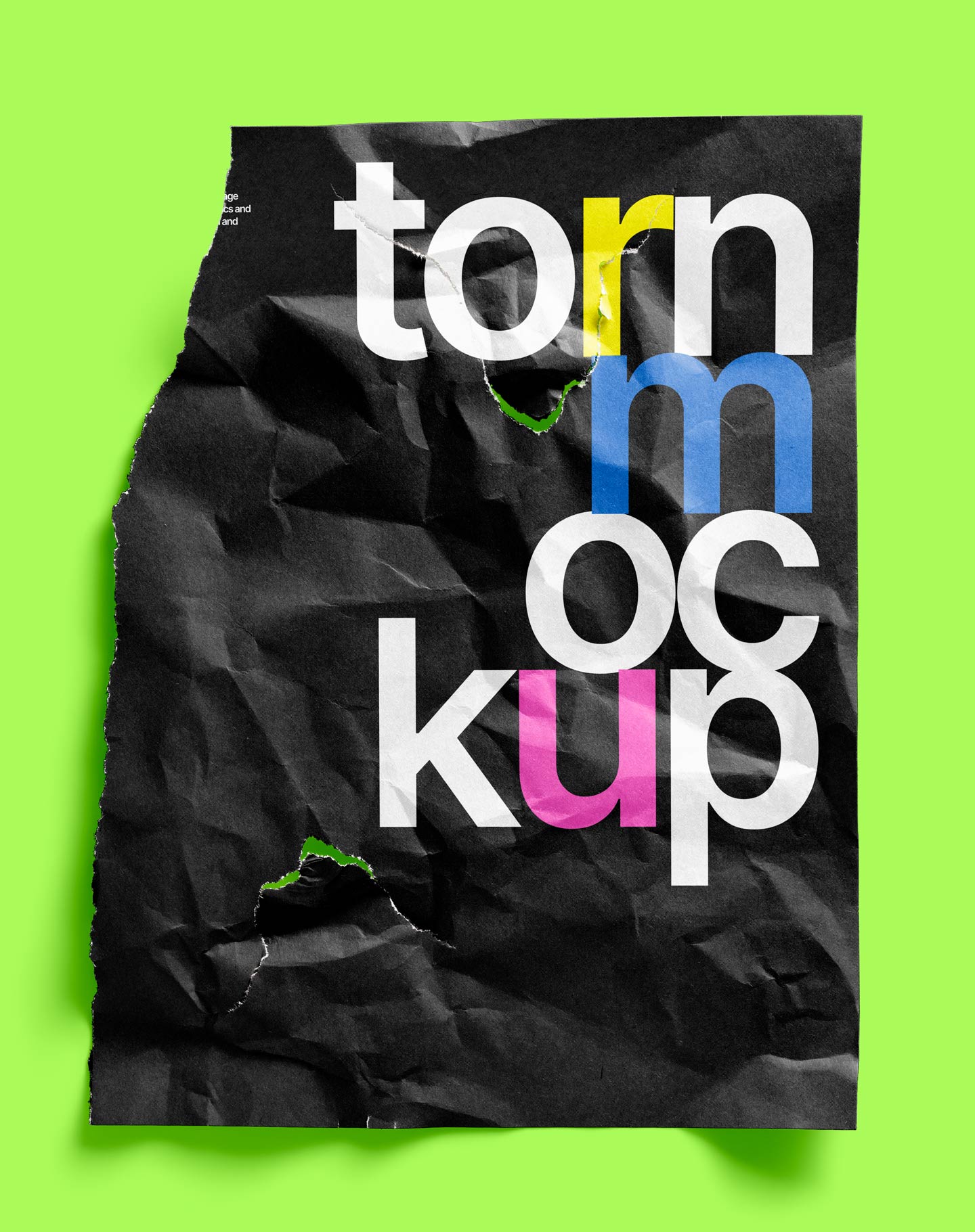 Brand Identity